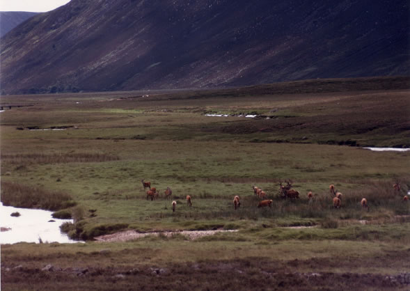 George MacDonald’s Scotland